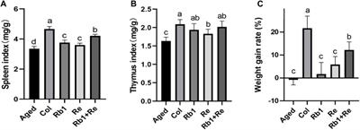 Effects of saponins Rb1 and Re in American ginseng combined intervention on immune system of aging model